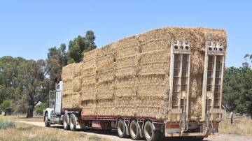 Farmers are warned to ensure fodder they bring in from interstate is free from pests and disease. File photo.