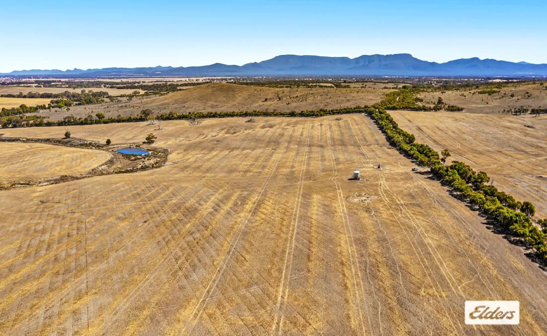 Neat cropping and grazing farm on the market near Ararat