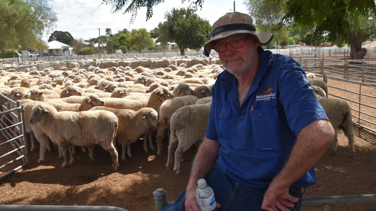 Paul O'Sullivan, Knowsley, bought this pen of Merino ewes, 2020-drop, for $100 at Wycheproof. Picture by Alastair Dowie